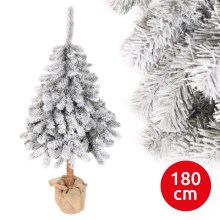 Vánoční stromek PIN 180 cm jedle