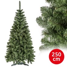 Vánoční stromek POLA 250 cm borovice