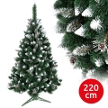 Vánoční stromek TAL 220 cm borovice