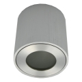 Venkovní bodové svítidlo FARA 1xGU10/30W/230V IP54 stříbrná