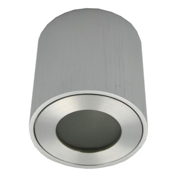 Venkovní bodové svítidlo FARA 1xGU10/30W/230V IP54 stříbrná