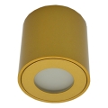 Venkovní bodové svítidlo FARA 1xGU10/30W/230V IP54 zlatá