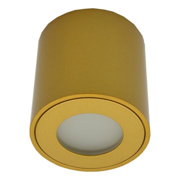 Venkovní bodové svítidlo FARA 1xGU10/30W/230V IP54 zlatá