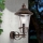 Venkovní nástěnná lampa KENZO 1xE27/100W/230V IP44 bronz/patina