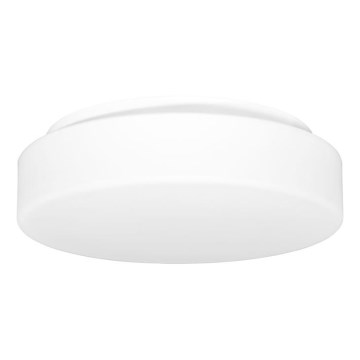 Venkovní stropní svítidlo HECTOR 1xE27/60W/230V pr. 30 cm IP44 opál bílá