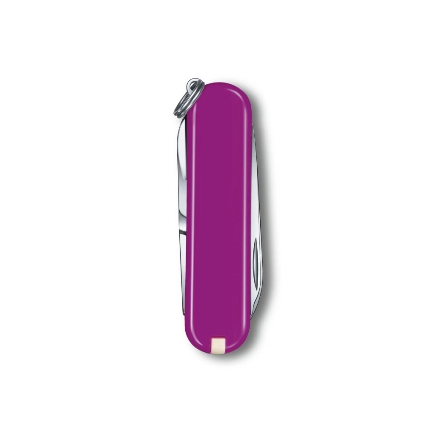 Victorinox - Multifunkční kapesní nůž CLASSIC SD 5,8 cm/7 funkcí fialová