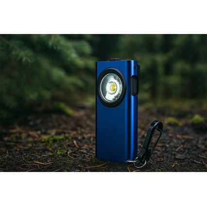 Viking - LED Stmívatelná nabíjecí svítilna LED/5V IPX3 500 lm 500 mAh
