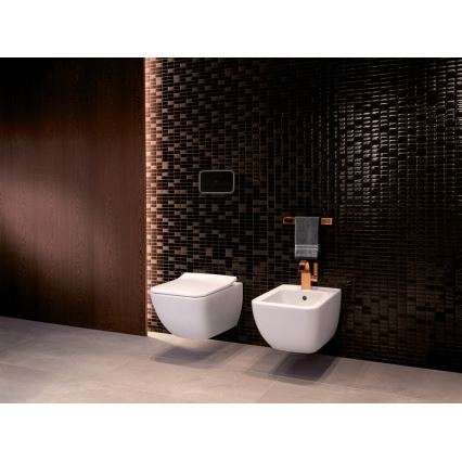 Villeroy & Boch 4611RS01 - Závěsné WC s prkénkem SoftClose VENTICELLO keramika/bílá