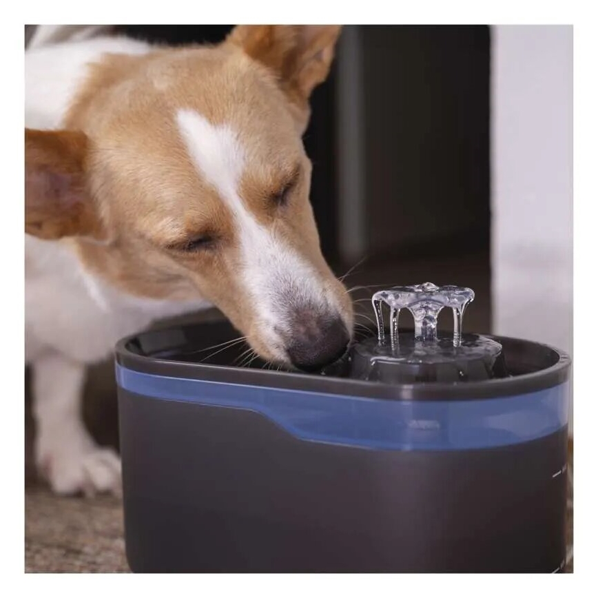 Vodní fontána pro domácí mazlíčky 2,6 l/5V šedá