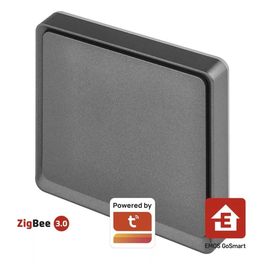 Vypínač 1-tlačítkový GoSmart 1xCR2430 Tuya černá