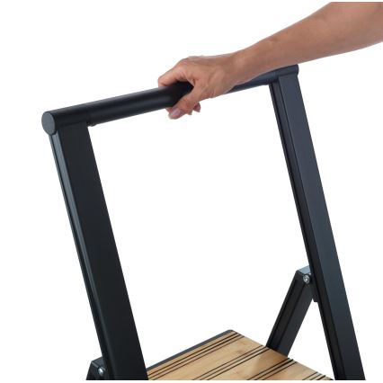 WENKO 50482100 - Schůdky ALU-DESIGN 44x101 cm černá