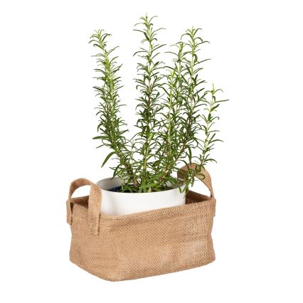 WENKO 64470100 - Koš JUNA 20x15 cm hnědá