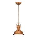 Westinghouse 6308440 - Lustr na tyči BOSWELL 1xE27/60W/230V pr. 22 cm