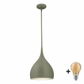 Westinghouse 6329340 - LED Lustr na lanku URBAN 1xE27/60W/230V pr. 28 cm