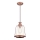 Westinghouse 63616 - Lustr na lanku BRYNN 1xE27/60W/230V