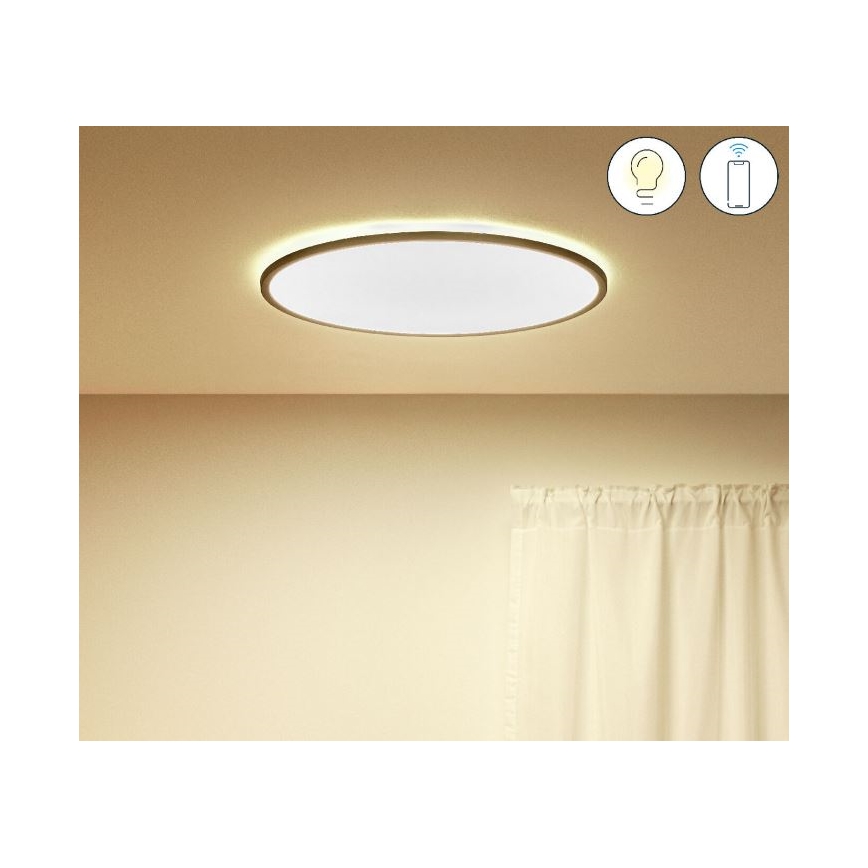 WiZ - LED Stmívatelné stropní svítidlo SUPERSLIM LED/32W/230V 2700-6500K Wi-Fi černá