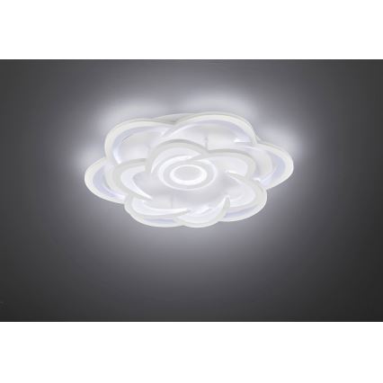 Wofi 11209 - LED Stmívatelné stropní svítidlo ICA LED/47W/230V 2700-5500K + dálkové ovládání