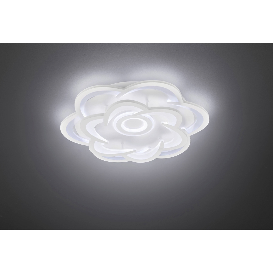 Wofi 11209 - LED Stmívatelné stropní svítidlo ICA LED/47W/230V 2700-5500K + dálkové ovládání