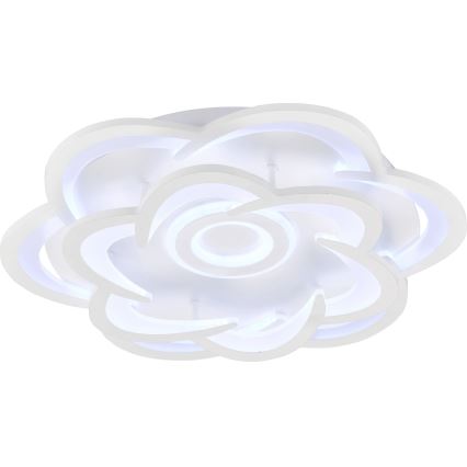 Wofi 11209 - LED Stmívatelné stropní svítidlo ICA LED/47W/230V 2700-5500K + dálkové ovládání