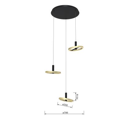 Wofi 5016-304 - LED Stmívatelný lustr na lanku BREST LED/26W/230V černá/zlatá