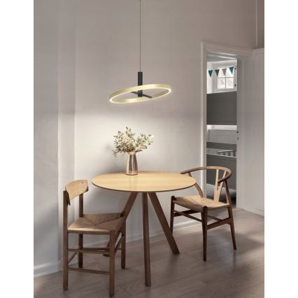 Wofi 6016-104L - LED Stmívatelný lustr na lanku BREST LED/19W/230V pr. 42 cm černá/zlatá