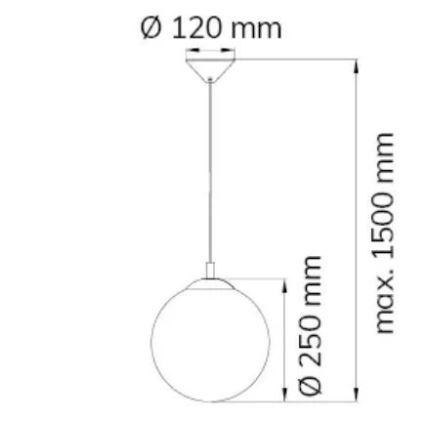 Wofi 6248.01.10.0250 - Lustr na lanku POINT 1xE27/60W/230V pr. 25 cm