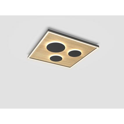 Wofi 9012-306L - LED Stmívatelné stropní svítidlo DIJON LED/40W/230V