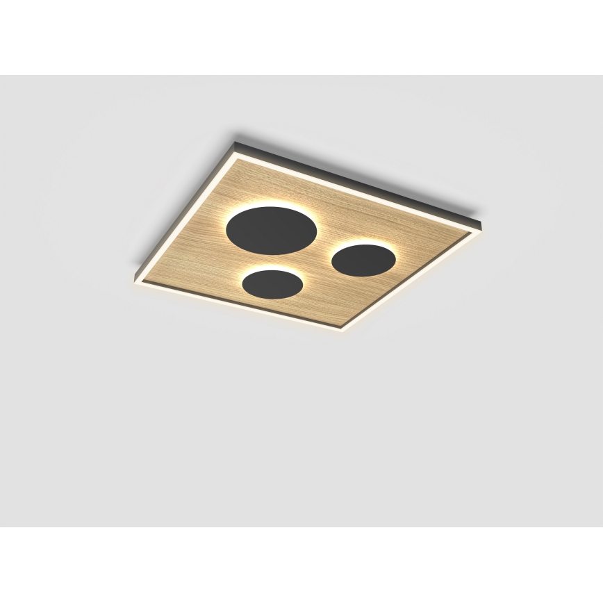 Wofi 9012-306L - LED Stmívatelné stropní svítidlo DIJON LED/40W/230V