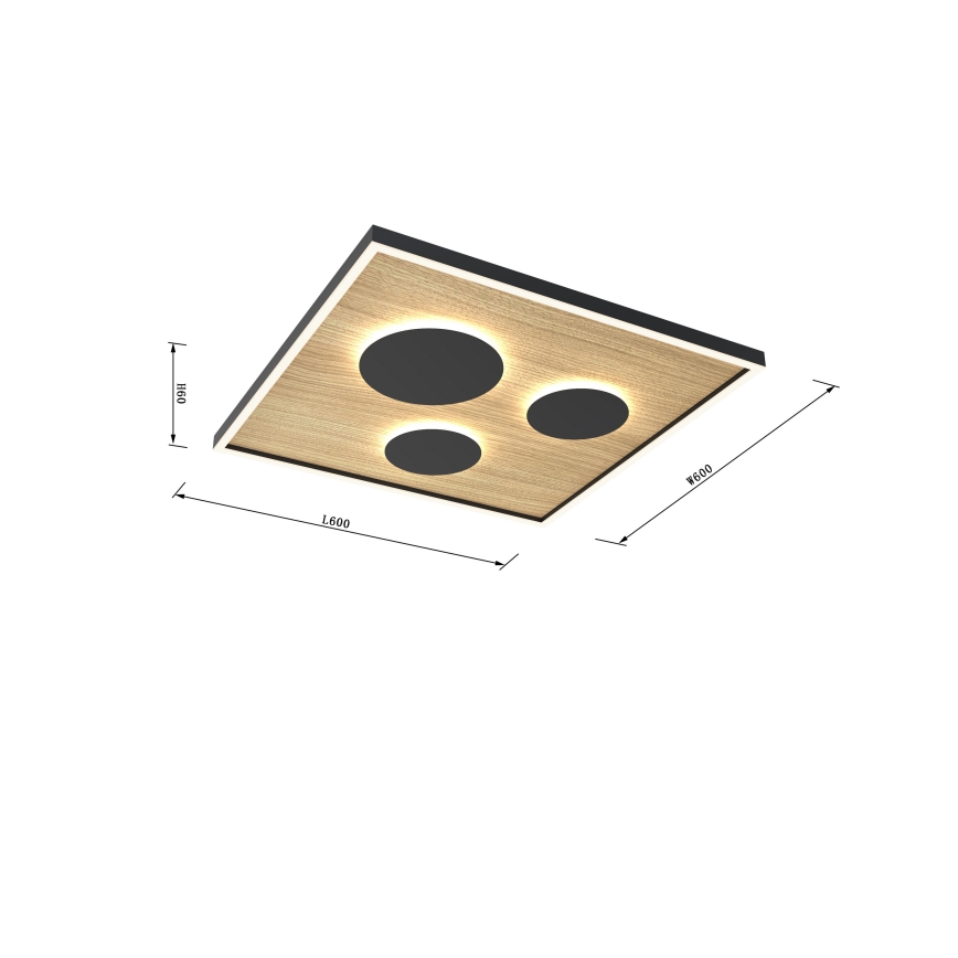 Wofi 9012-306L - LED Stmívatelné stropní svítidlo DIJON LED/40W/230V