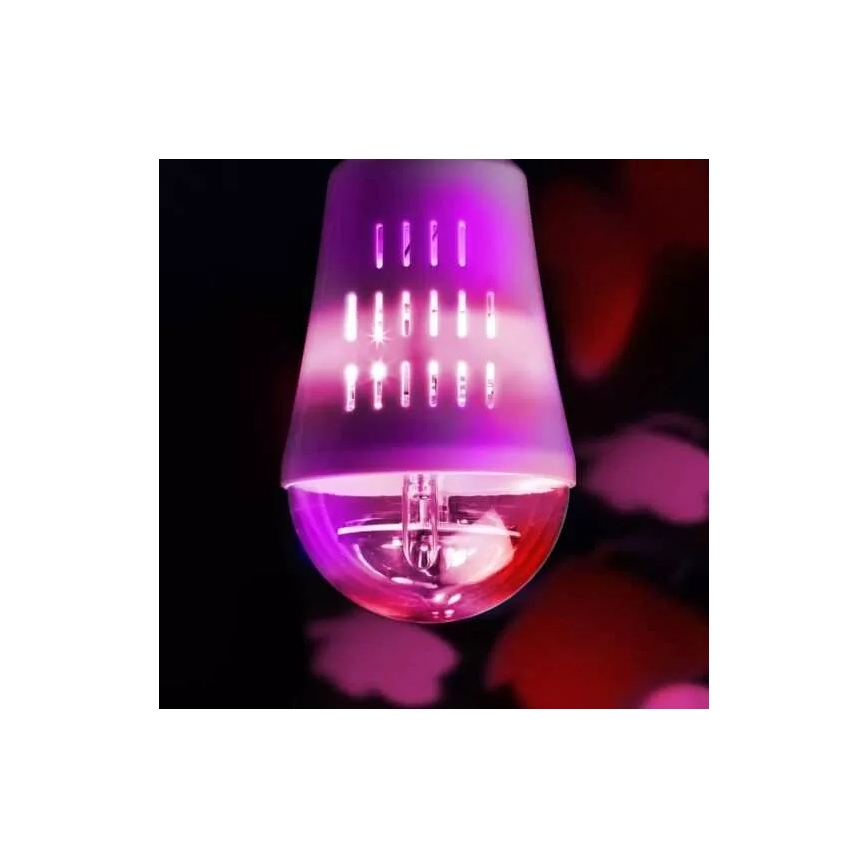 Wofi 9744 - LED Dekorační žárovka BUTTERFLY E27/4W/230V