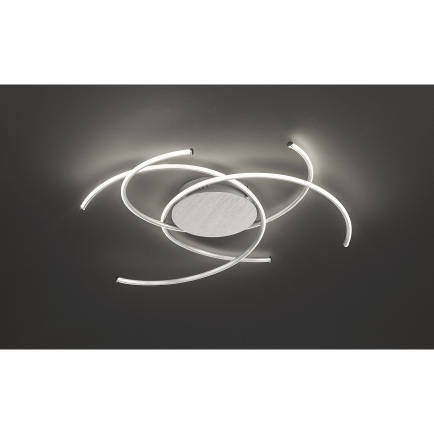 Wofi - LED Stropní svítidlo JULS LED/24W/230V