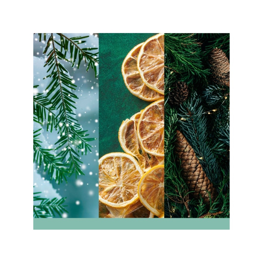 Yankee Candle - Vonná svíčka HOLIDAY WINTERFEST velká 567g 60-90 hod.