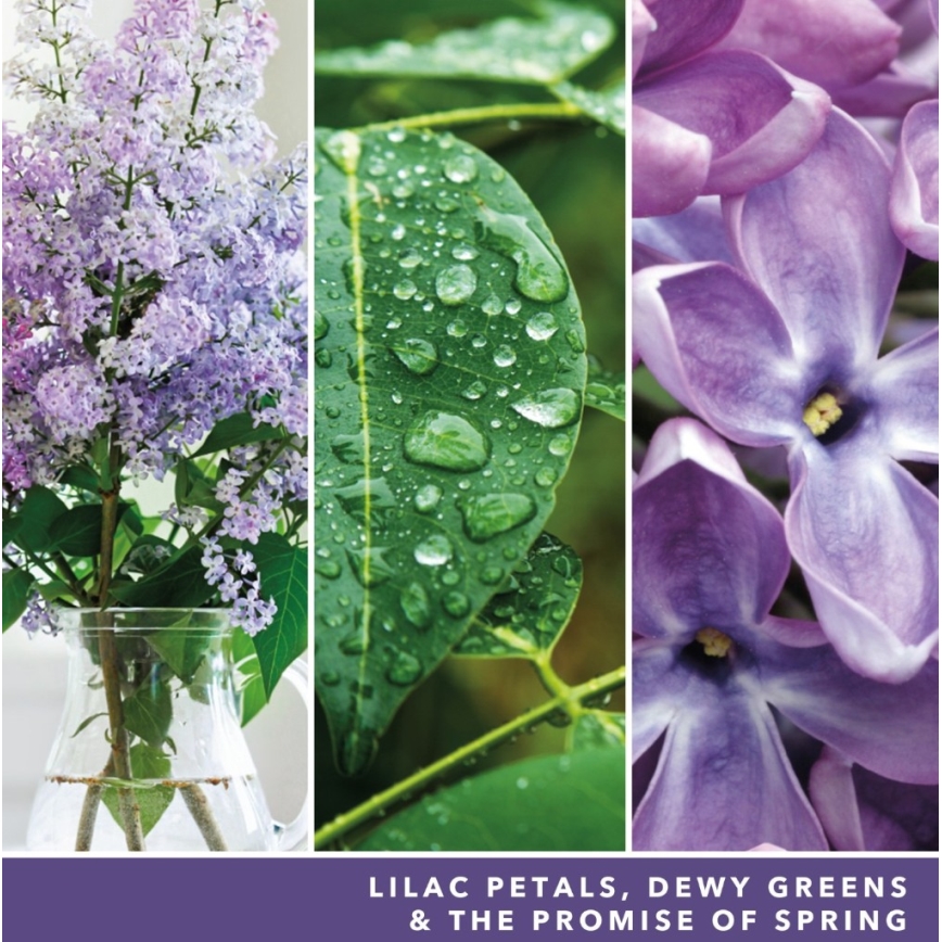 Yankee Candle - Vonná svíčka LILAC BLOSSOMS velká 567g 60-90 hod.