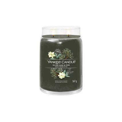 Yankee Candle - Vonná svíčka SILVER SAGE & PINE velká 567g 60-90 hod.