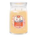 Yankee Candle - Vonná svíčka SLOPESIDE SPRITZ velká 567g 60-90 hod.