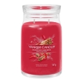 Yankee Candle - Vonná svíčka SPARKLING CINNAMON velká 567g 60-90 hod.