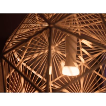Základní sada Philips Hue WHITE AMBIANCE 2xE27/8W/230V + Hue bridge a dimmer switch