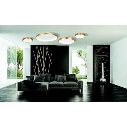 Zambelis 2042 - LED Stmívatelné stropní svítidlo LED/30W/230V pr. 40 cm zlatá