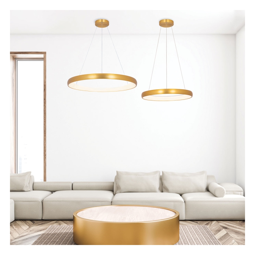 Zambelis 2046 - LED Stmívatelný lustr na lanku LED/30W/230V pr. 40 cm zlatá