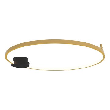 Zambelis 23097 - LED Stmívatelné stropní svítidlo LED/32W/230V 3000K pr. 80 cm zlatá