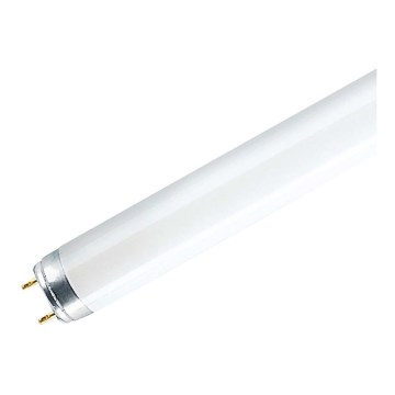 Zářivková trubice G13/18W/230V 6500K Zářivková trubice G13/18W/230V 6500K