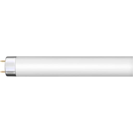 Zářivková trubice G13/36W/230V 120 cm