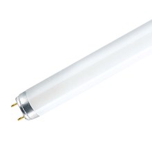 Zářivková trubice G13/58W/230V 6500K 150 cm