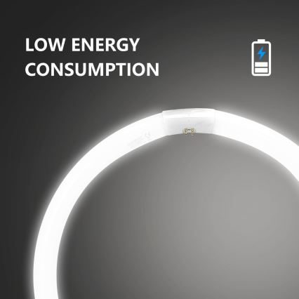 Zářivková trubice T9 G10q/40W/230V 6500K - Aigostar