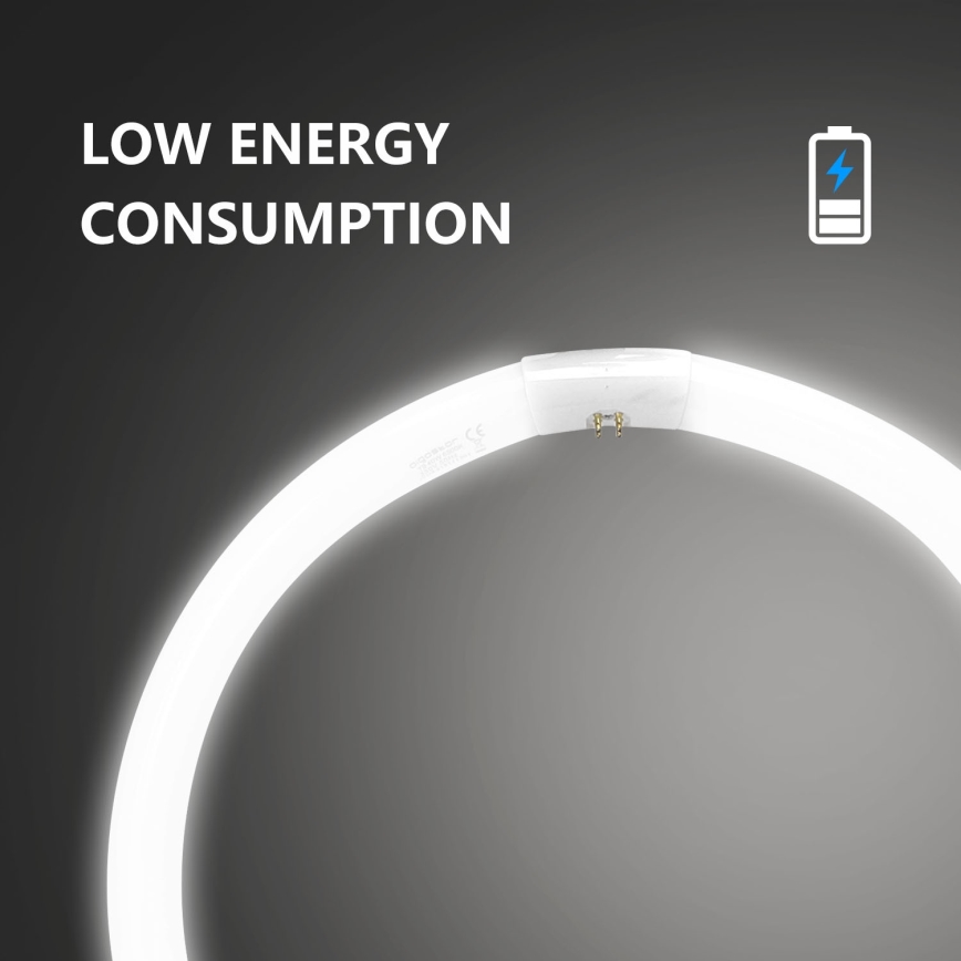 Zářivková trubice T9 G10q/40W/230V 6500K - Aigostar