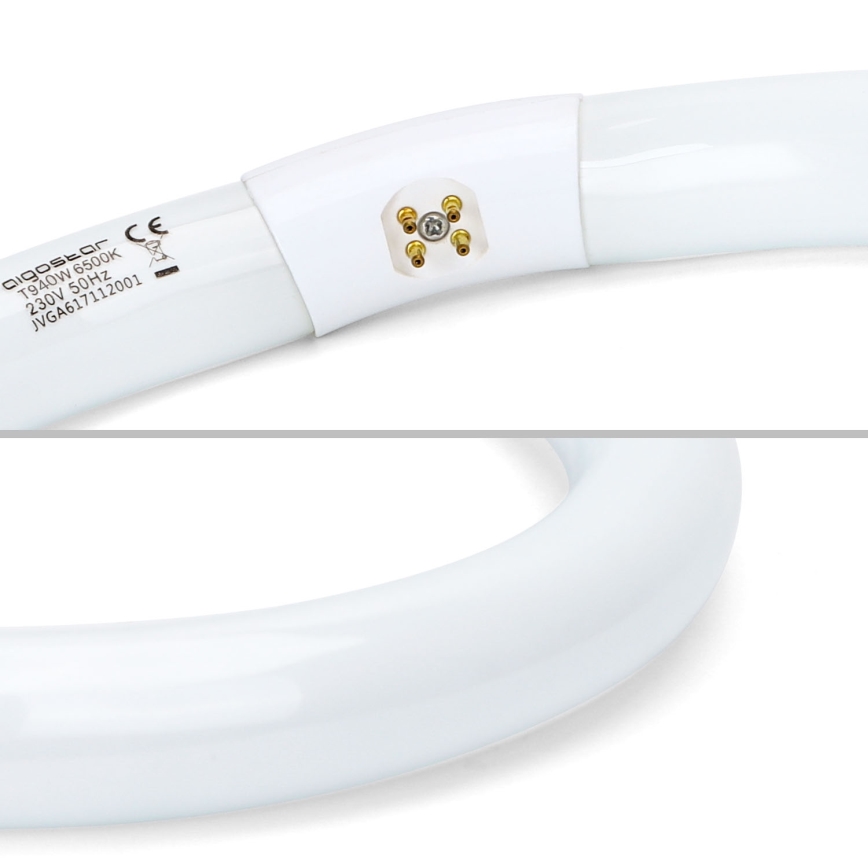 Zářivková trubice T9 G10q/40W/230V 6500K - Aigostar