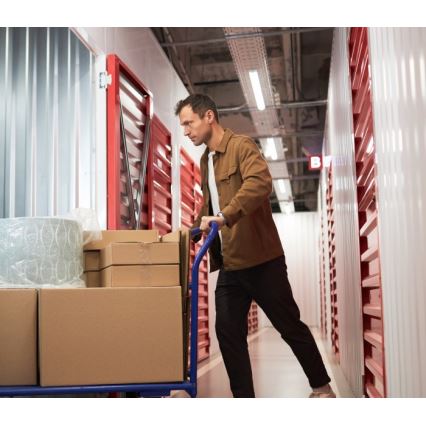 Zářivkové svítidlo T8 DELFIA 2xG13/18W/230V 124 cm bílá