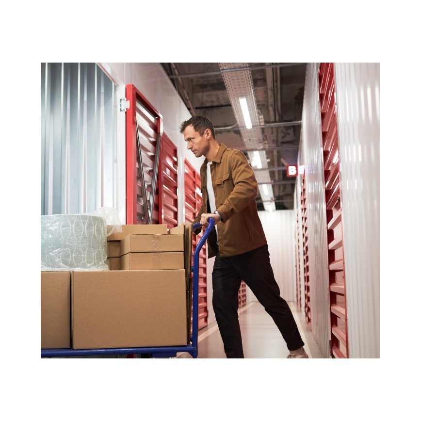 Zářivkové svítidlo T8 DELFIA 2xG13/18W/230V 124 cm bílá