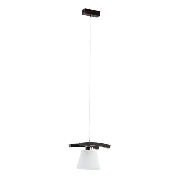 Závěsné svítidlo TROJA E27/60W/230V Závěsné svítidlo TROJA E27/60W/230V
