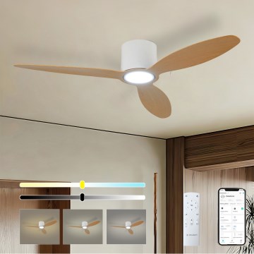 ZEVENTI - LED Stmívatelný stropní ventilátor VENTORA LED/24W/230V 3000/4000/6000K Wi-Fi Tuya bílá/dub + dálkové ovládání